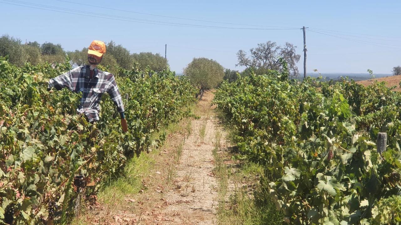 Monte Da Clareira - Comporta Carvalhal Melides Apartman Grândola Kültér fotó