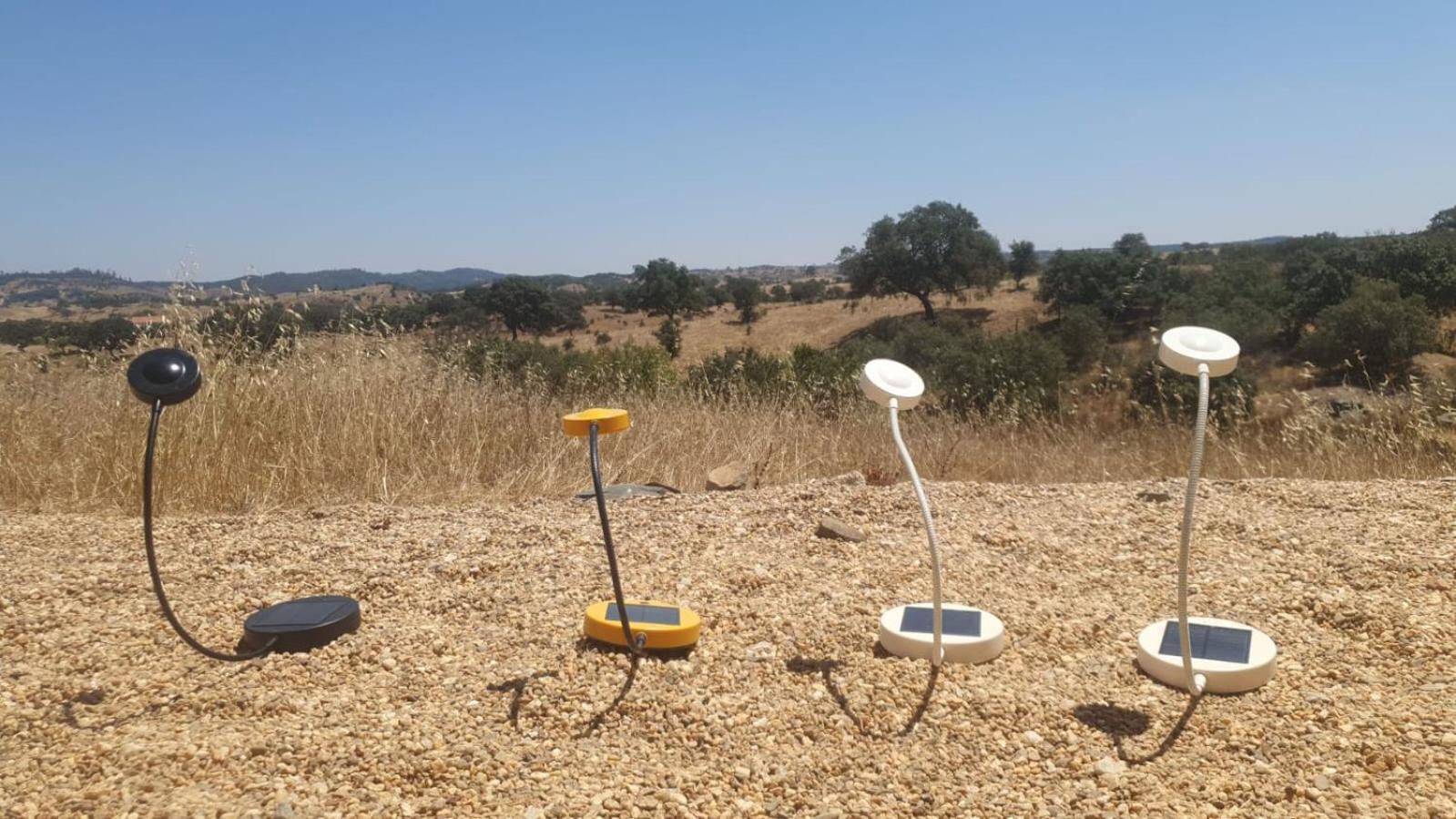 Monte Da Clareira - Comporta Carvalhal Melides Apartman Grândola Kültér fotó
