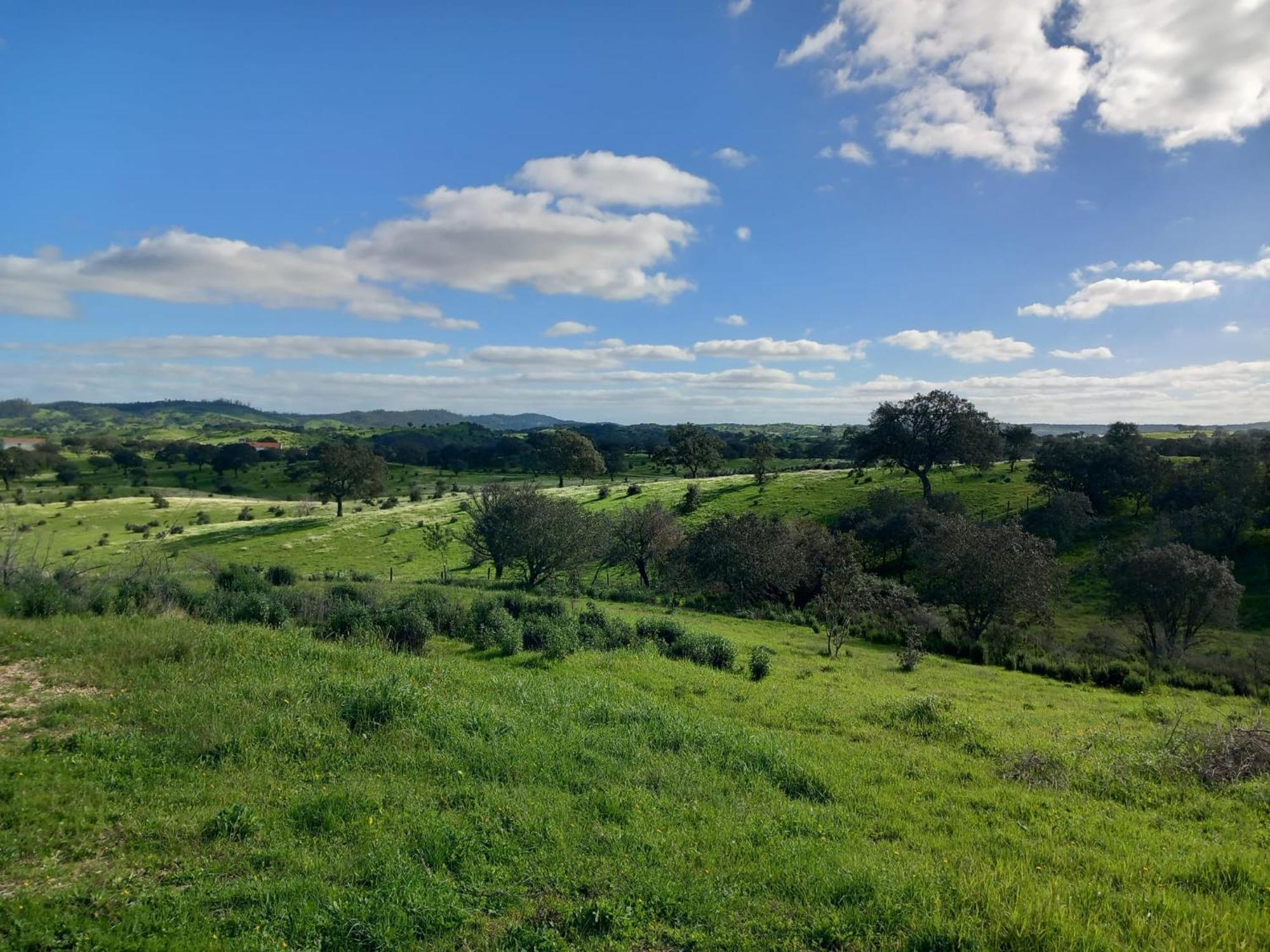 Monte Da Clareira - Comporta Carvalhal Melides Apartman Grândola Kültér fotó