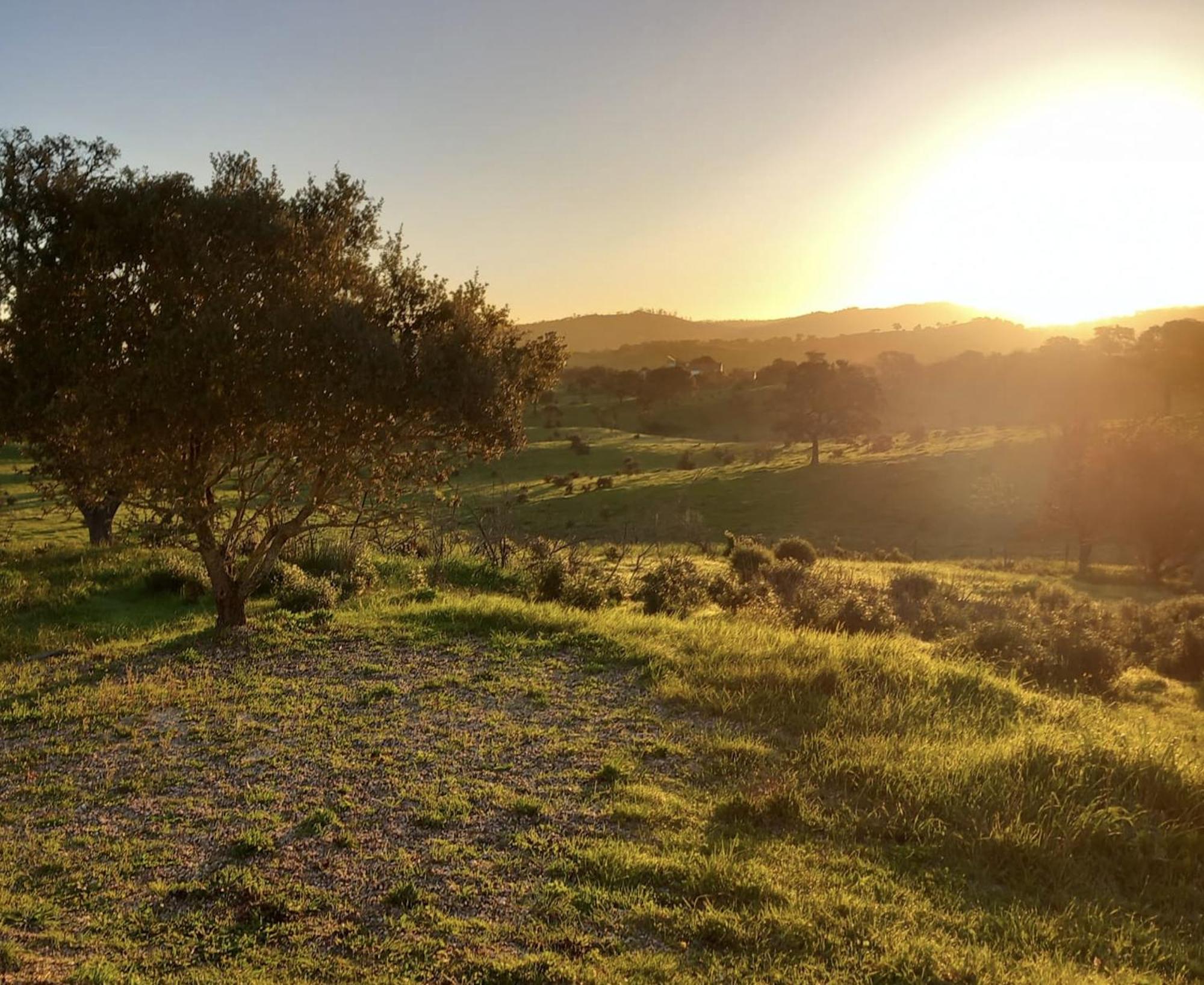 Monte Da Clareira - Comporta Carvalhal Melides Apartman Grândola Kültér fotó